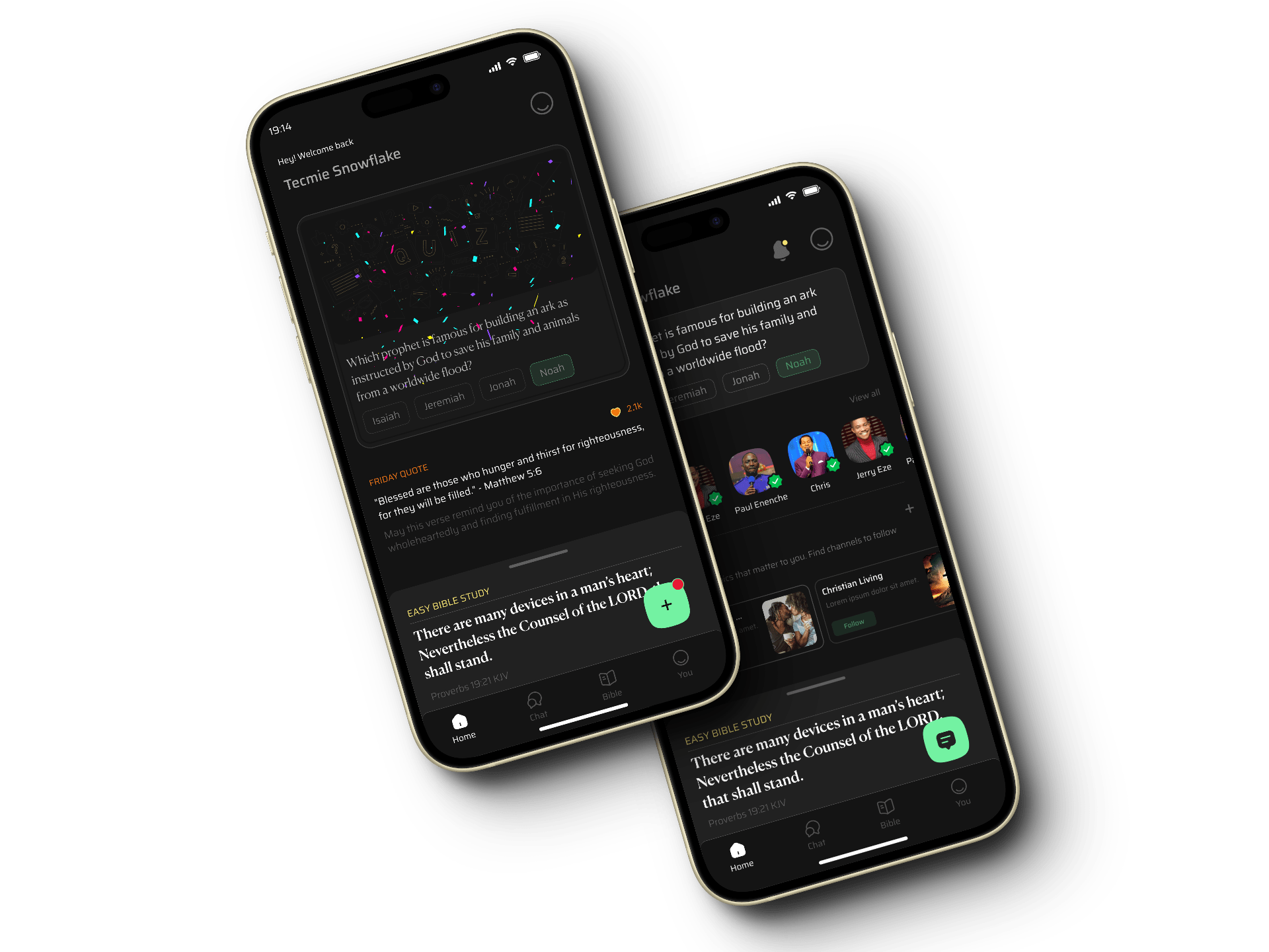 Screenshot of ChatKJV Mobile App